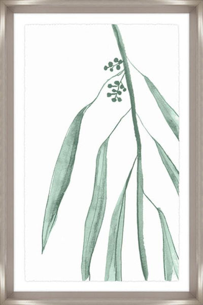 product image of eucalyptus iv by bd art gallery lba 52bu0474 gf 1 592