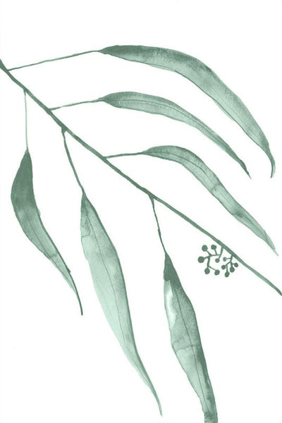 product image for eucalyptus ix by bd art gallery lba 52bu0479 gf 7 86