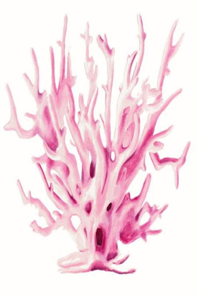 product image for bright coral i by bd art gallery lba 52bu0340 bu fr1708 7 99