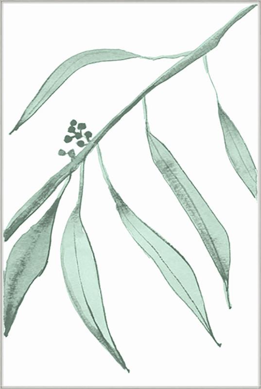 media image for eucalyptus i by bd art gallery lba 52bu0471 gf 6 245