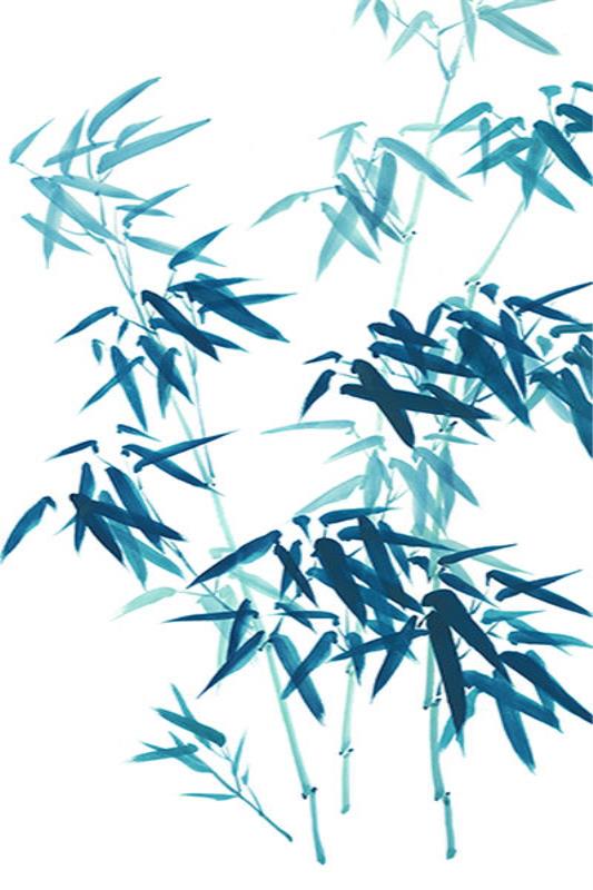 media image for turquoise bamboo iv by shopbarclaybutera 3 229