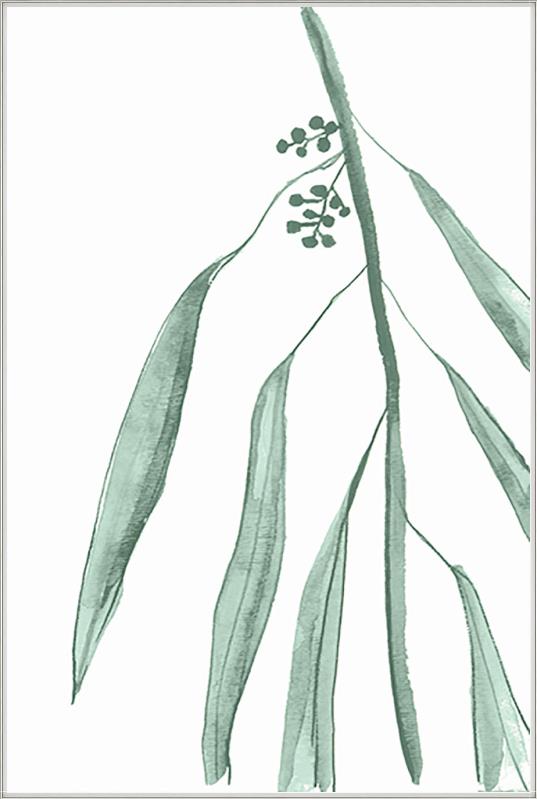 media image for eucalyptus iv by bd art gallery lba 52bu0474 gf 3 268
