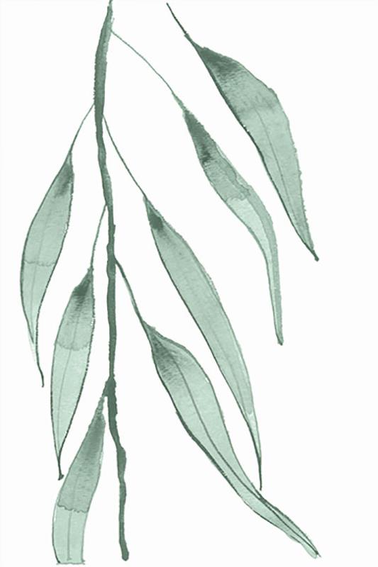 media image for eucalyptus iii by bd art gallery lba 52bu0473 gf 7 272