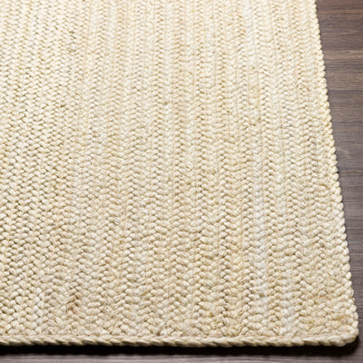 product image for Natural Braids Jute Ivory Rug Front Image 47