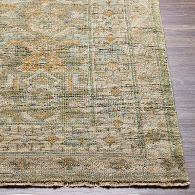 product image for Reign Nz Wool Sage Rug Front Image 50