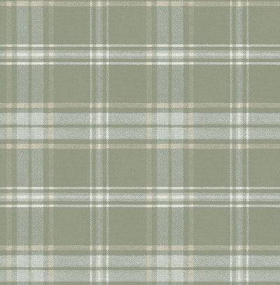 product image of Tartan Wallpaper in Green & Off-White 574