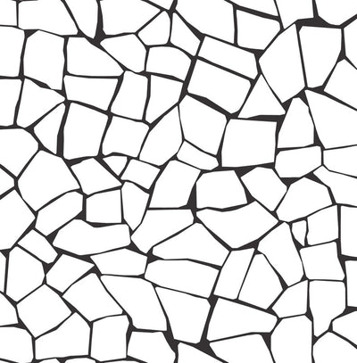 product image of Mosaic Stone Peel & Stick Wallpaper in Black & White 537