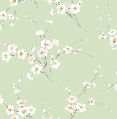 product image of Cherry Blossoms Peel & Stick Wallpaper in Green 569