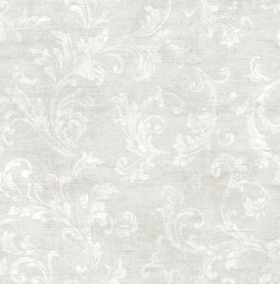 product image of Classic Scroll Wallpaper in Grey 562