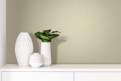 product image for Plain Tapestry Wallpaper in Beige 63