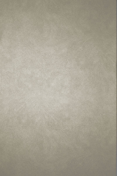 product image of Mako Wallpaper in taupe gray from the Komodo Collection by Osborne & Little 524