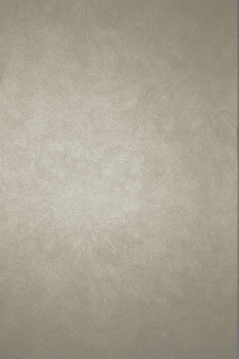 media image for Mako Wallpaper in taupe gray from the Komodo Collection by Osborne & Little 277