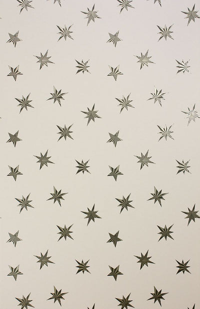 product image for Sirius Wallpaper in tan from the Belvoir Collection by Matthew Williamson 76