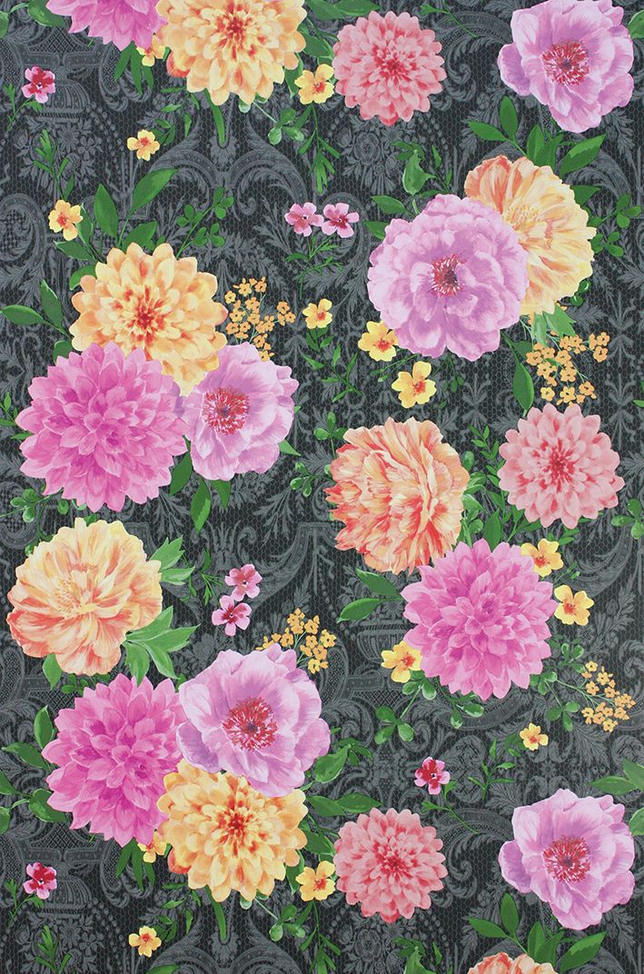 media image for Duchess Garden Wallpaper in multi color on charcoal background by Matthew Williamson 251