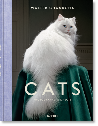product image for walter chandoha cats photographs 1942 2019 1 46