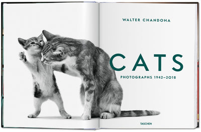 product image for walter chandoha cats photographs 1942 2019 2 14
