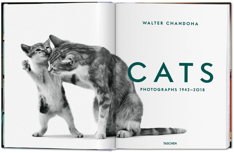 media image for walter chandoha cats photographs 1942 2019 2 22