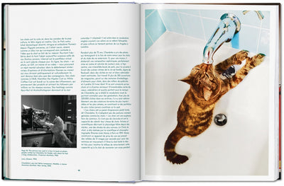 product image for walter chandoha cats photographs 1942 2019 8 69