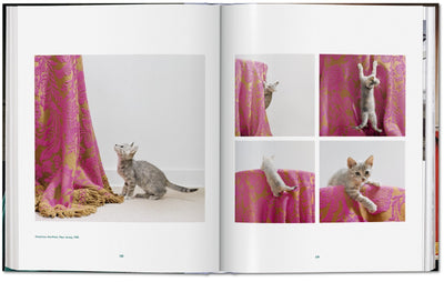 product image for walter chandoha cats photographs 1942 2019 11 88